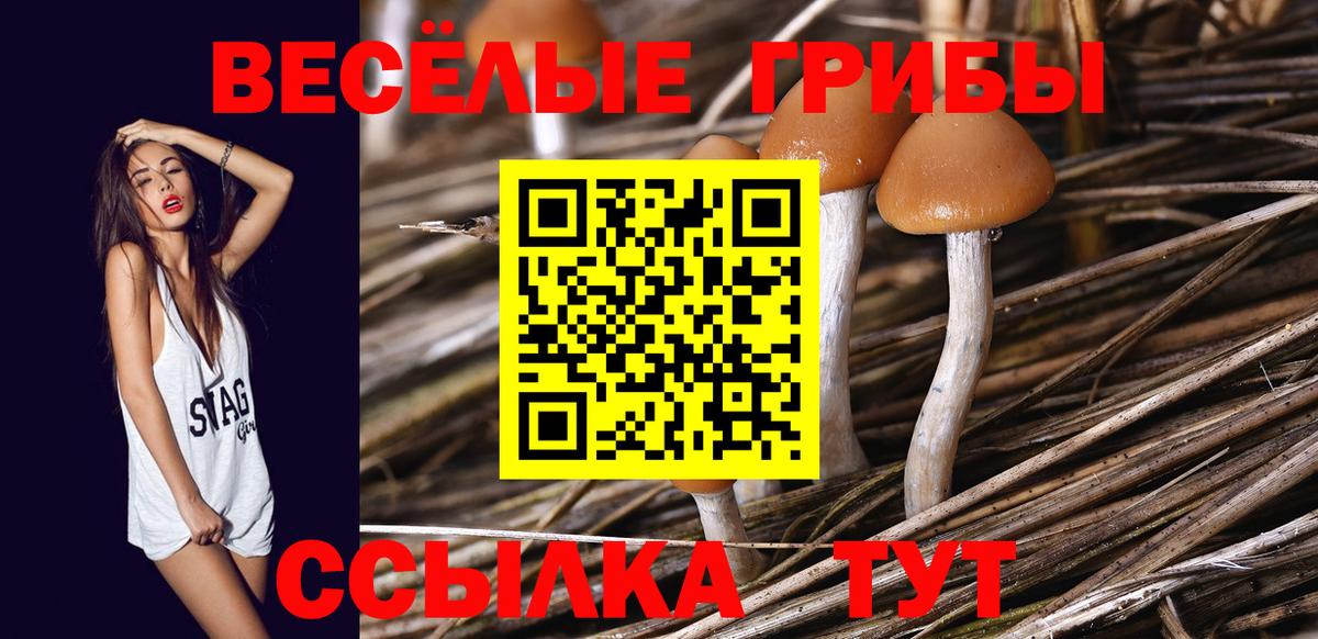 Магадан  Галлюциногенные грибы ЛСД  Вход с VPN 